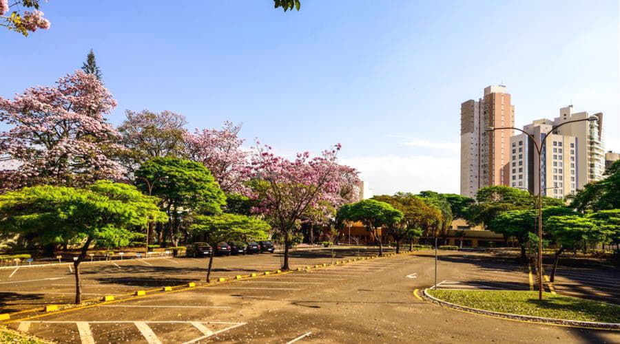 Top-Autovermietungsoptionen in Londrina